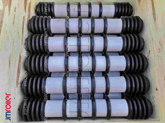 Aangepaste transportrol 50-219 mm met SKF/FAG-lagers